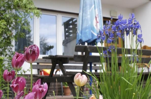 Pensjonacik Albatros Apartamento Mikołajki Exterior foto